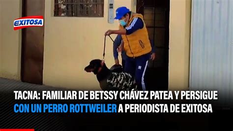 🔴🔵tacna Familiar De Betssy Chávez Patea Y Persigue Con Un Perro Rottweiler A Periodista De