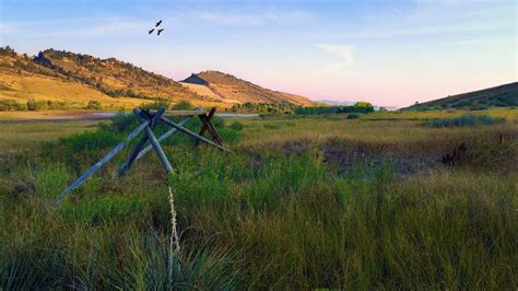 Free Images Landscape Nature Path Outdoor Marsh Wilderness Wing