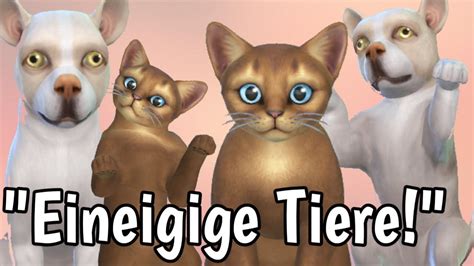 Jetzt Ist Das HAUS Voll Infobox Sims 4 100 Hunde Katzen