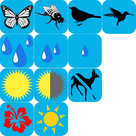 Wild Indigo — Menunkatuck Audubon Society