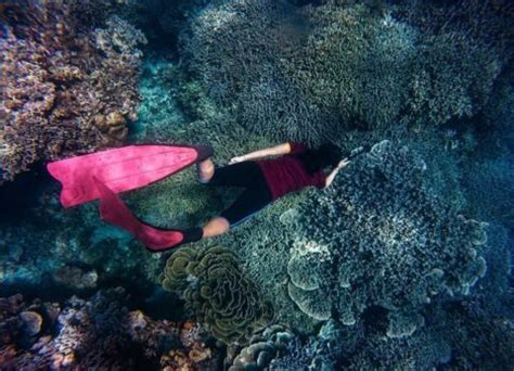 Kegiatan Menarik Yang Bisa Dilakukan Di Pulau Pari Destinasi Wisata