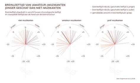 Atlas Van Ons Brein A Visual Book Of Our Brain Behance