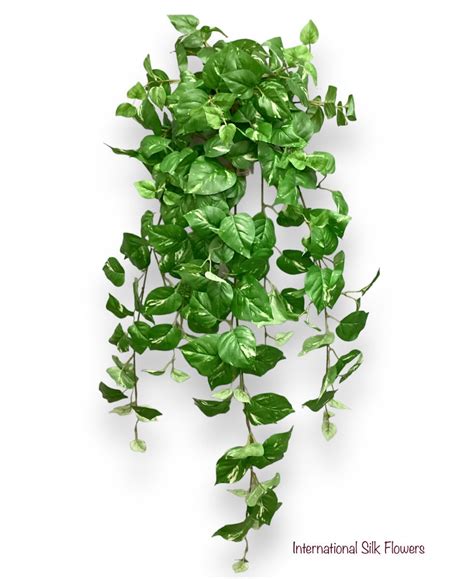 40 Pothos Hanging Bush Int8404 International Silk