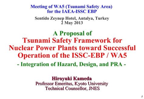 A Proposal Of Tsunami Safety Framework For Nuclear Power Plants Toward