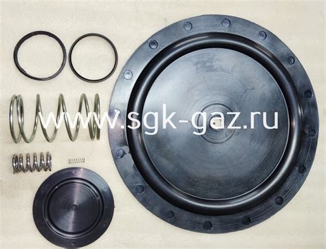 Ремкомплект РДП-100В — СарГазКомплект
