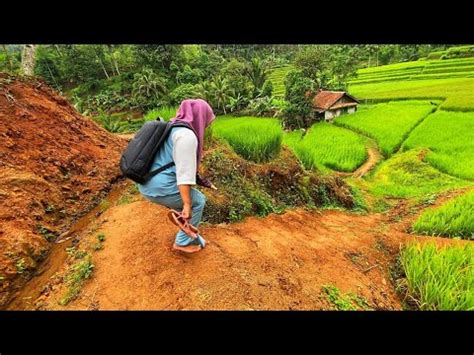 Hanya Ada Rumah Udaranya Sejuk Ayem Tentram Alamnya Indah Damai