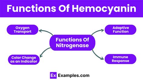 Hemocyanin - Definition, Structure, Function, Uses, Benefits