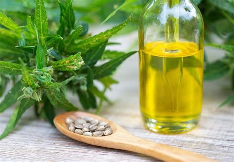 Health Benefits Of Cbd Oil You Need To Know True Activist