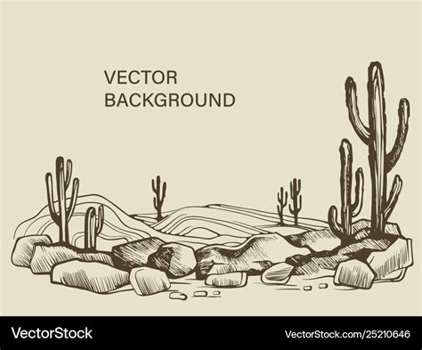 Cacti In Arizona Desert Sketch Royalty Free Vector Image