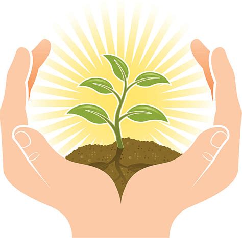 Hand Holding Plant Clipart