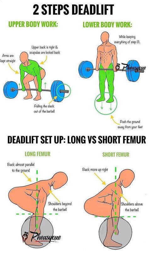 Proper Deadlift Form With Dumbbells Howtodoaproperdeadlift Weight