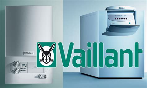 Отзывы о котлах Вайлан газовых настенных и твердотопливных моделей Vailant