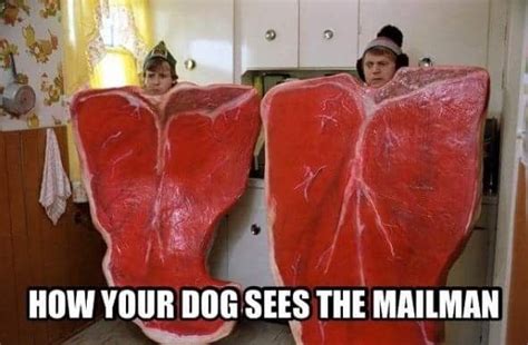 Pin By Lissa Middleton On Gone Postal Strange Great Movies Usps Humor