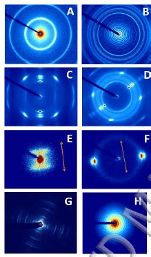 Examples Of D Saxs And D Waxs Patterns The Point Collimation Setup