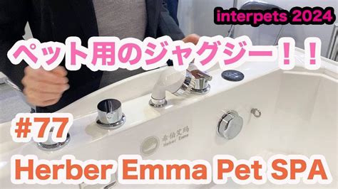 77 ペット用のジャグジーHerber Emma Pet SPAinterpets tokyo 2024で気になったブースをご紹介