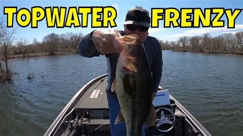 Maximize Your Success In Oklahoma Bass Fishing With These Proven