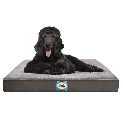 Sealy Supreme Sherpa Dog Bed & Reviews | Wayfair