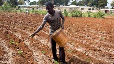 UN Gives Seeds Tools To Haitian Farmers Still Reeling From Hurricane