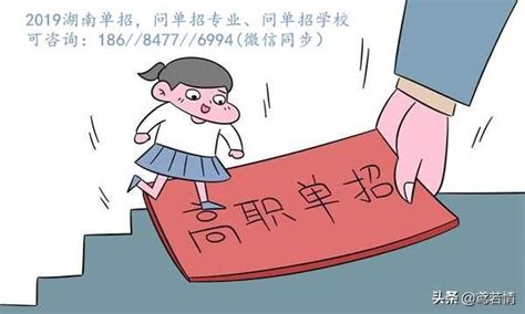 2019湖南高職單招：關於高職單招，你了解多少？ 每日頭條