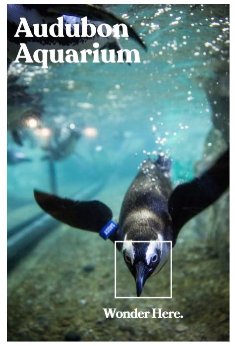 Audubon Aquarium - WNW