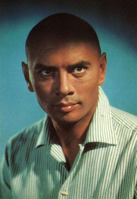 Yul Brynner Yul Brynner Movie Stars Hollywood Actor