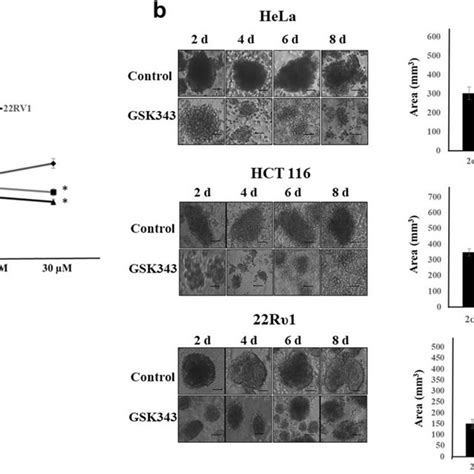 Ezh2 Methyltransferase Activity Inhibition By Gsk343 Reduces Cell