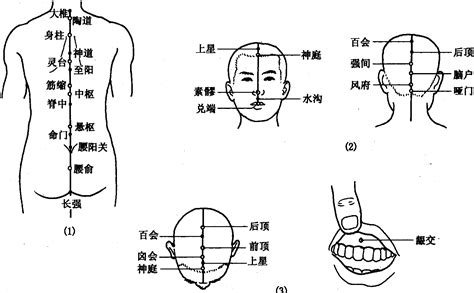 第六节 任督脉经腧穴 穴位疗法 医学