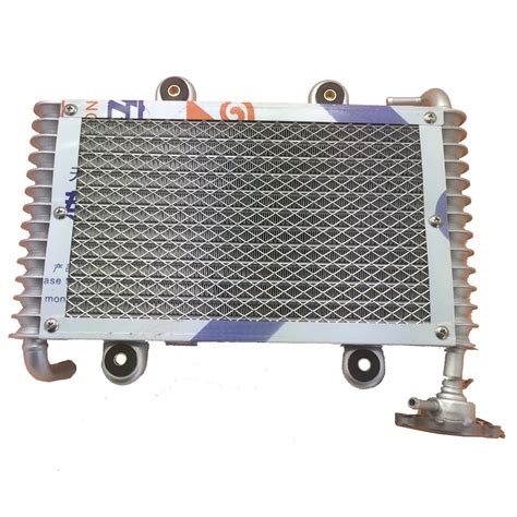 Bashan 200cc 250cc Atv Quad Radiator For Bashan 200 250cc Atv Atv Utv