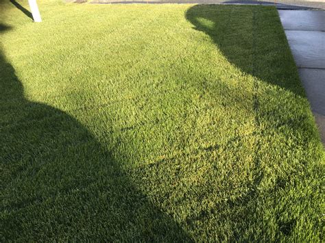 E3 E8 F1 C7 D048 443 A 9 A95 70537 F1417 CE — Postimages