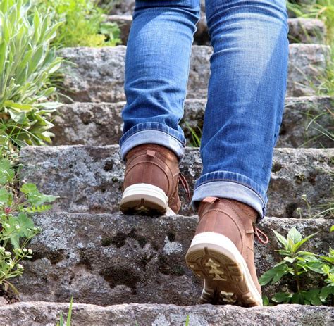 Menschlicher Körper Das Organ das kaum jemand kennt WELT