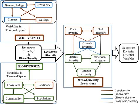 Conceptual Model Of Ecosystem Diversity Essential Variables Linking