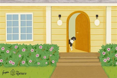 How to Grow and Care for Rose of Sharon