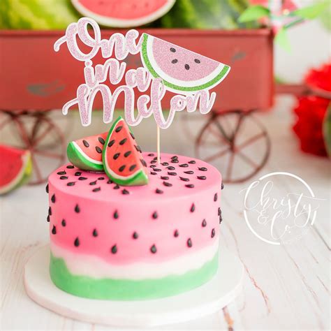 Christy And Co Photography On Instagram One In A Melon 🍉 Watermelon Birthday Parties