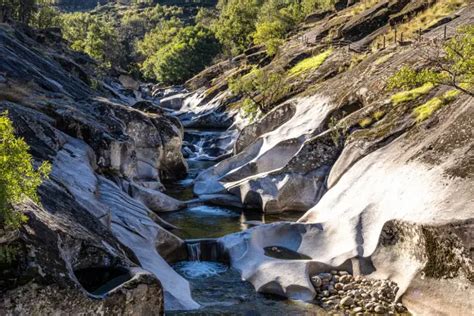 Cinco Paradas En El Valle Del Jerte Para Contemplar El Mayor