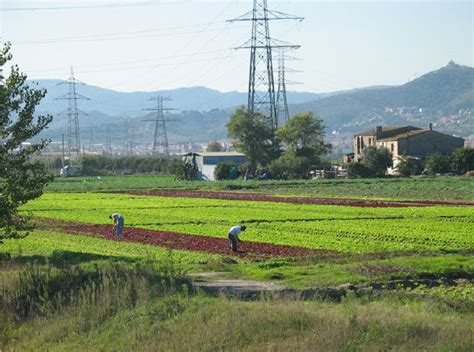 El Baix Llobregat impulsará itinerarios saludables en el Parc Agrari