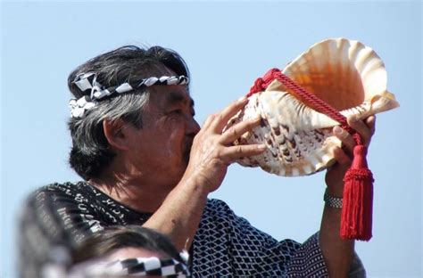 Conch Shell: A Pearl In The Ocean - Seafood Peddler