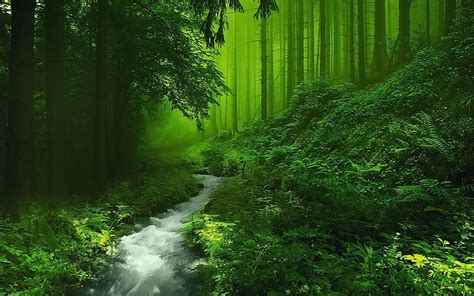 Green Nature Wallpaper for iPad