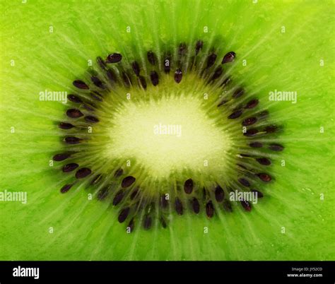 Close Up Kiwi Texture Kiwi Fruit With Macro Lens Center Of