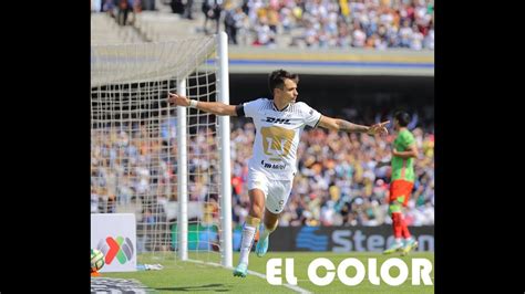 Jornada Pumas Vs Juarez El Color Desde La Afici N Puma Pumas