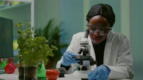 Portrait Of Pharmaceutical Woman Putting Slide Under Microscope Stock