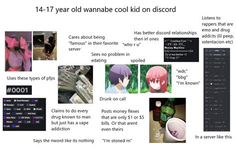 14 17 Year Old Wannabe Cool Kid On Discord Starter Pack R Starterpacks