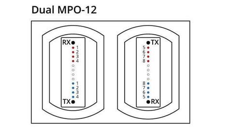 Why Are 800g Optical Modules Important For Ai