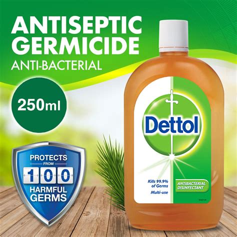 Dettol Antiseptic Germicide 250ml Lazada