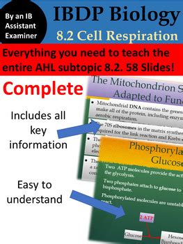 Ib Biology Higher Level Topic Metabolism Respiration And Metabolism