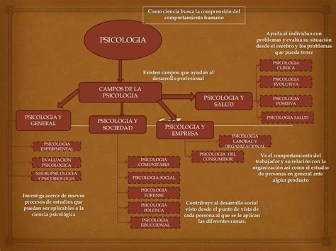 Mapa Conceptual Origen Y Evolucion De La Psicologia Kulturaupice