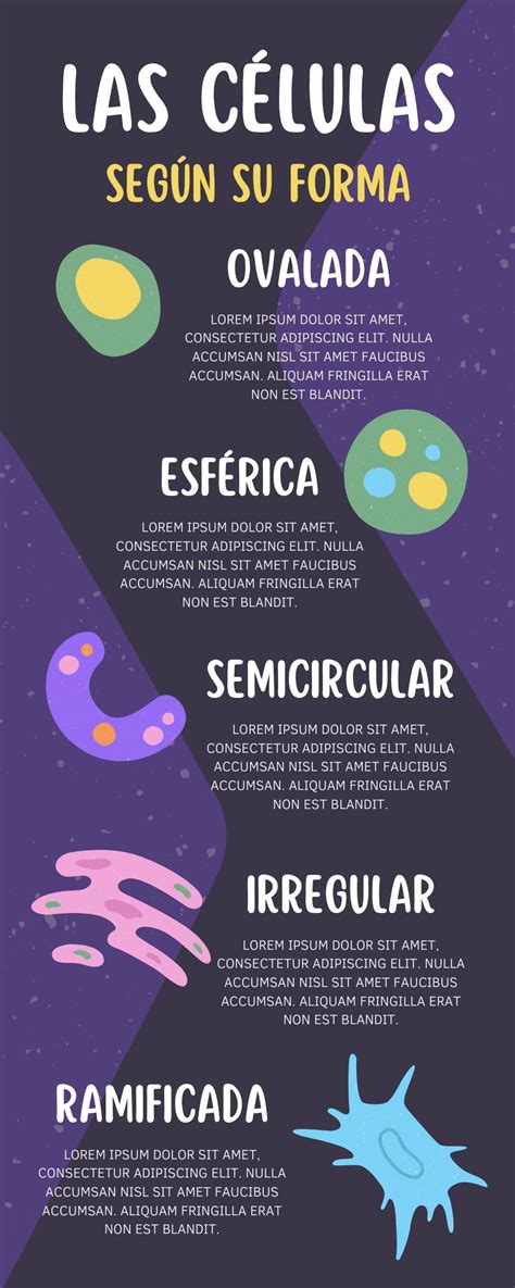 ᐈ Tipo de Infografía Científica