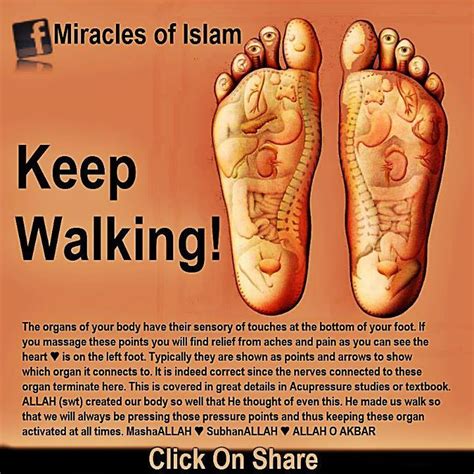 Allah Is The Greatest Miracles Of Islam Islam And Science Islam Facts