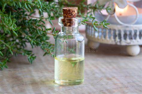 A Bottle Of Thyme Essential Oil With Fresh Thyme Stock Image Image Of