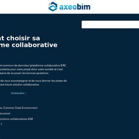 Comment Choisir Sa Plateforme Collaborative Bim