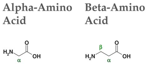 Comparison between α and β amino acid Download Scientific Diagram